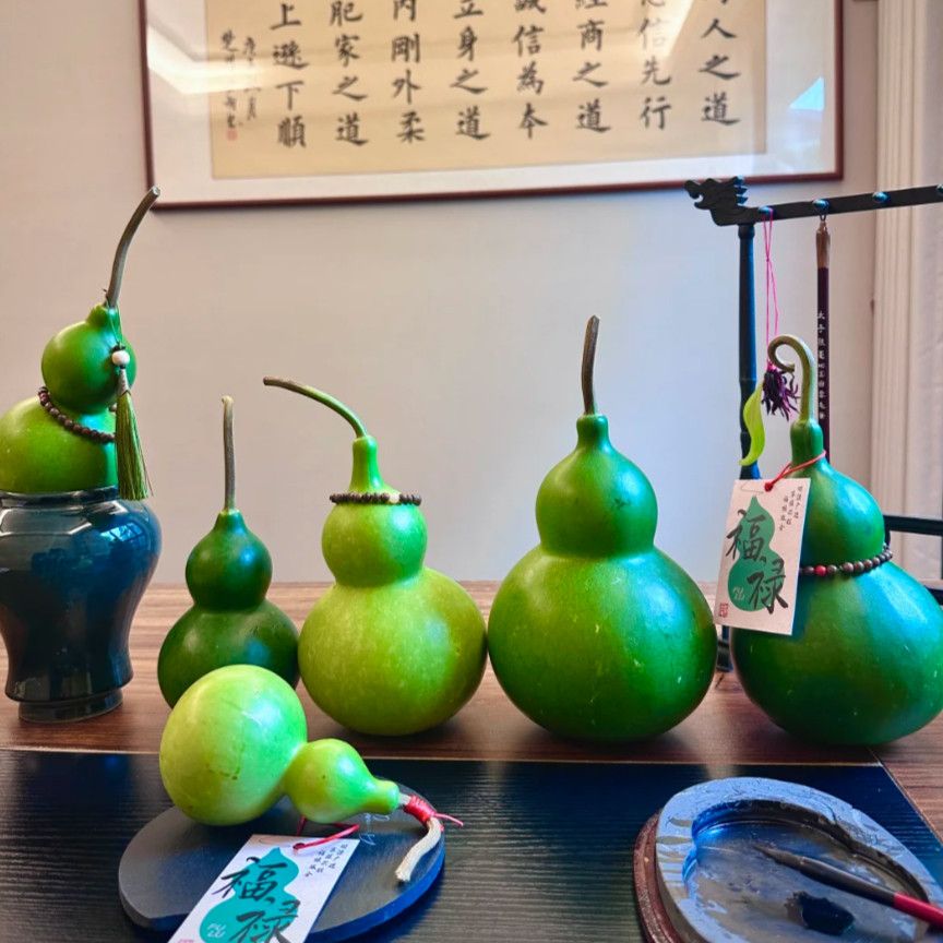 福禄果丨翡翠青皮葫芦可打皮文玩新鲜葫芦纯天然云南基地直发