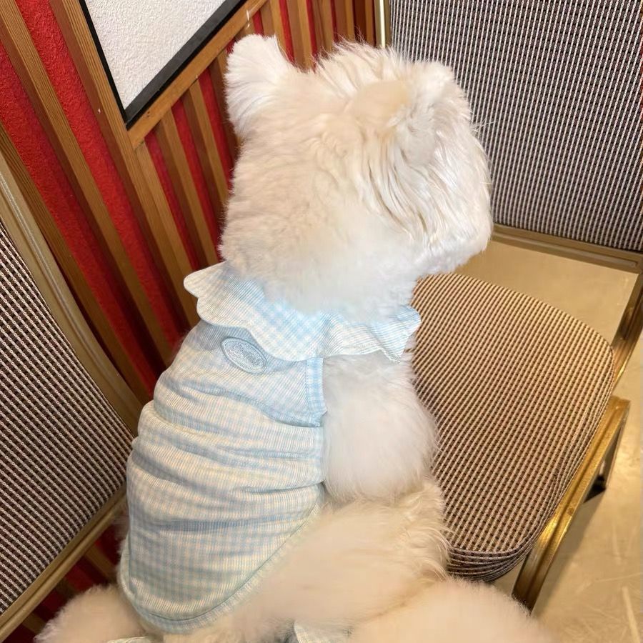 夏季侏儒兔小兔子幼猫幼犬宠物花边背心茶杯犬夏天薄款小狗狗衣服