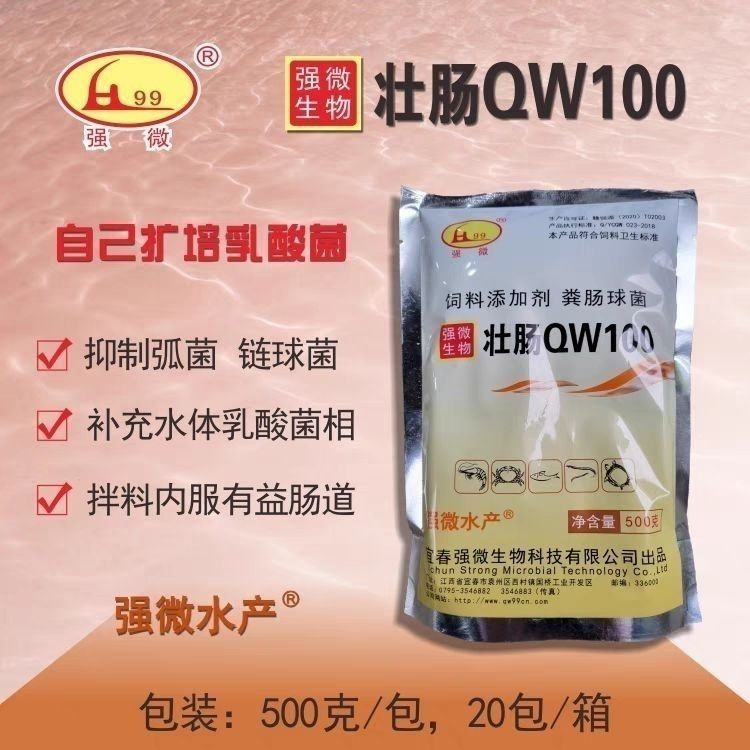 强微壮肠100宜春乳酸菌扩培发酵粪肠球菌保护肠道调pH降氨氮