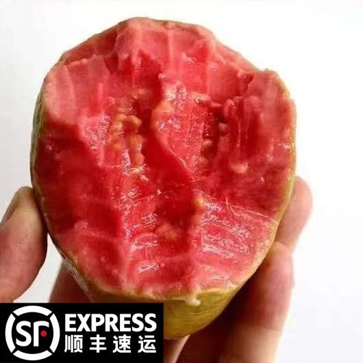 【放软吃】广西红心芭乐新鲜水果奶油芭乐红心番石榴软糯鸡屎果