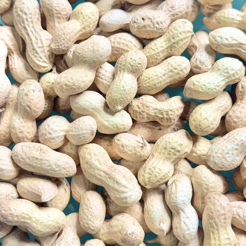 花生带壳生晒干,原味新鲜生花生,结婚早生贵子小籽生花生带壳晒干