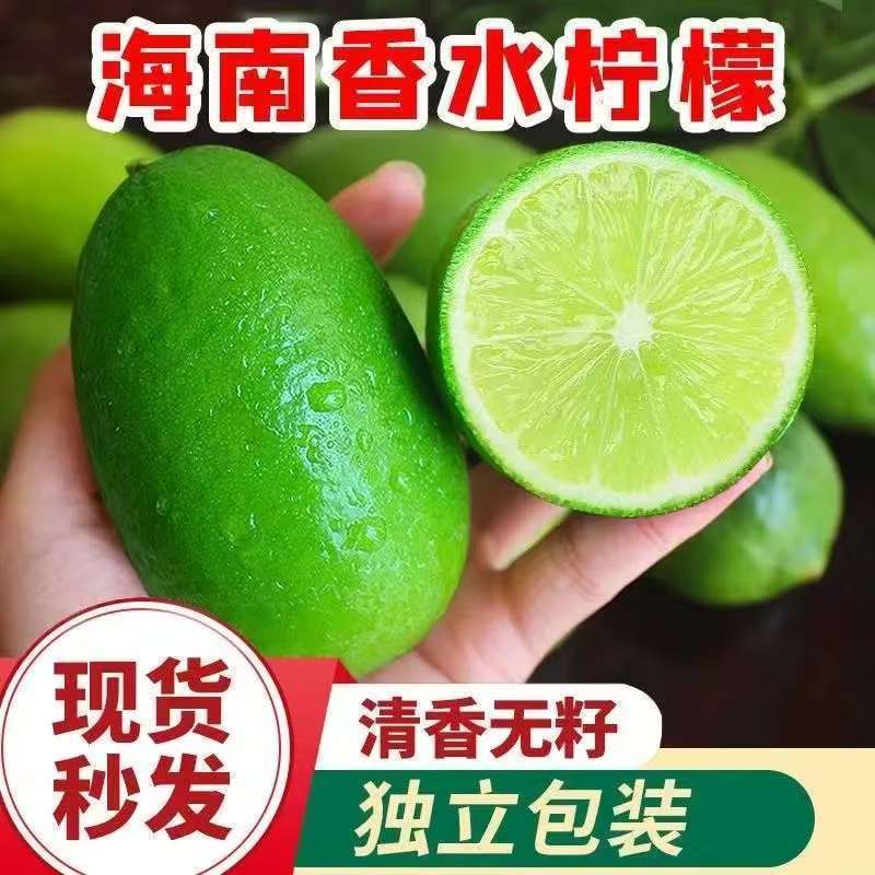 海南无籽香水柠檬新鲜正宗青柠檬奶茶店专用当季大果暴打柠檬批发