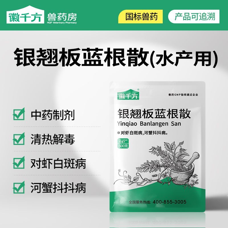 银翘板蓝根散产品主图