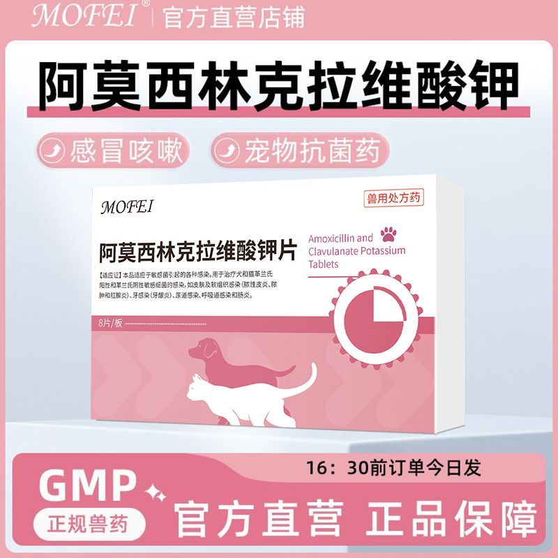 阿莫西林克拉维酸钾片宠物猫狗抗生素感冒细菌皮肤感染猫咪狗狗