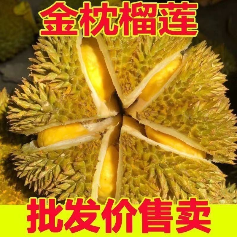 【自有果园】正宗泰国金枕榴莲新鲜带壳一整个榴莲鲜果原产地直供