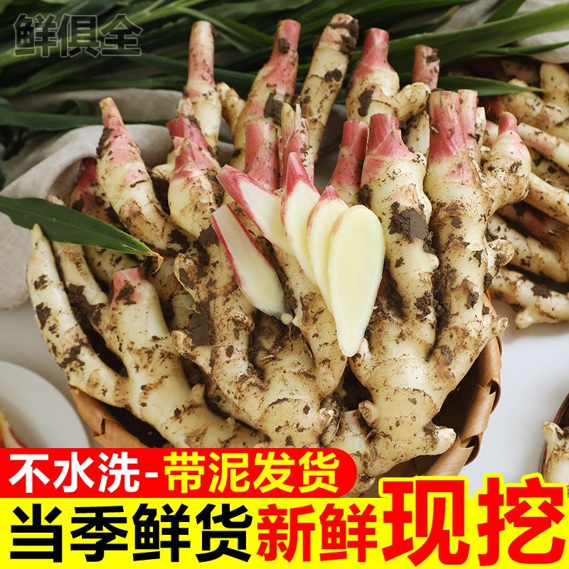 山东嫩姜新鲜嫩生姜子姜沙姜泡姜红芽仔姜小黄姜当季时令蔬菜