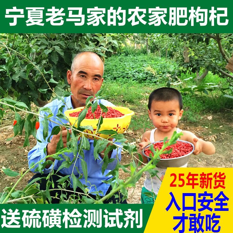 宁夏特产农家老马枸杞500g正宗中宁头茬大粒苟构狗纪泡水批发250g