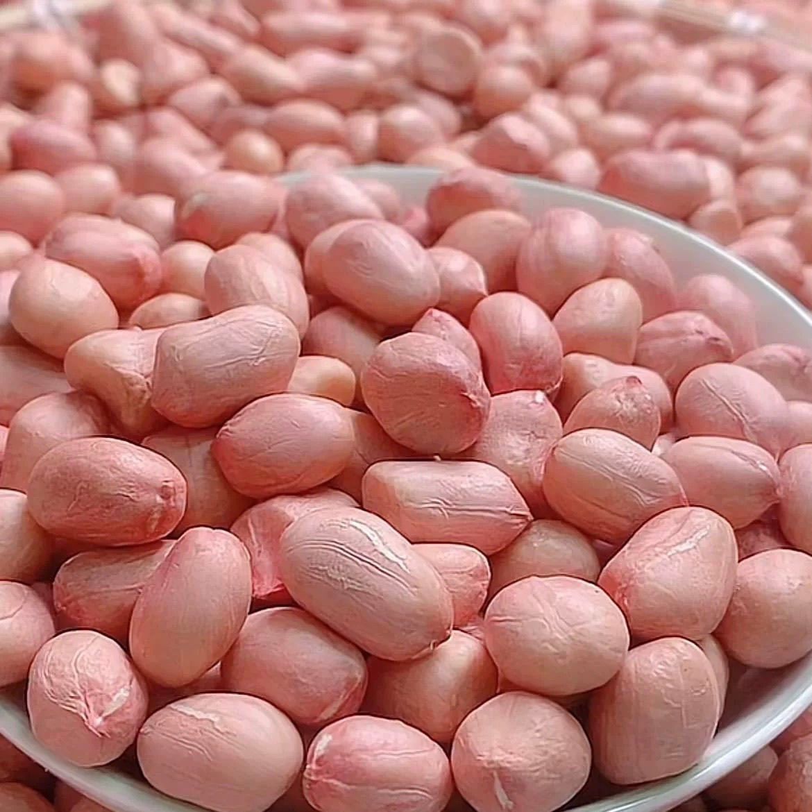 东北现剥新花生米新鲜白皮白沙花生米商用批发生花生米