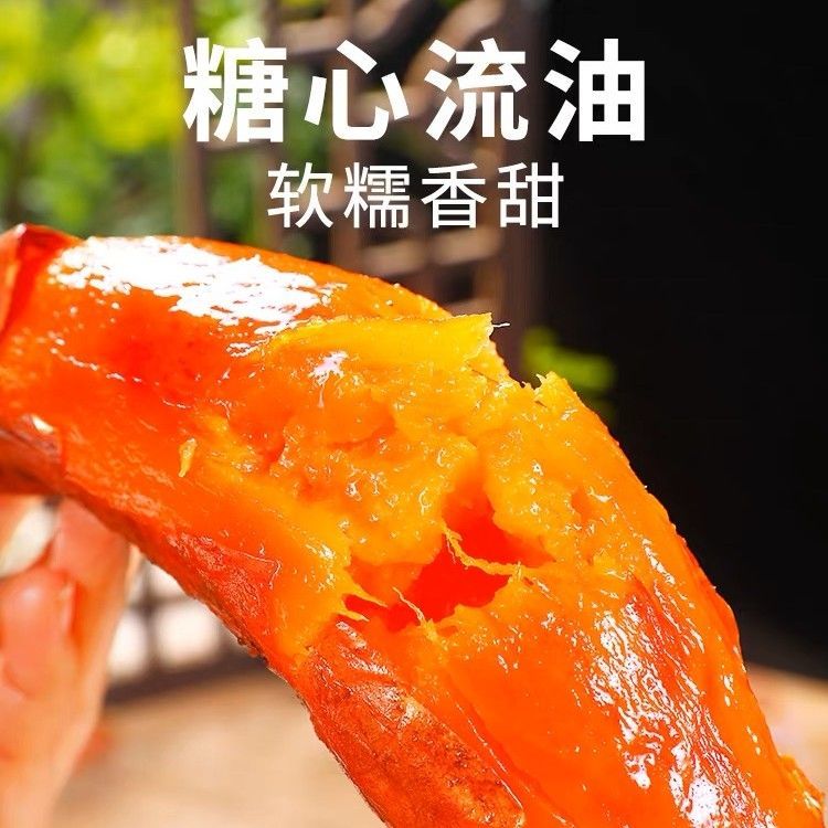 山东现挖正宗烟薯25地瓜红薯沙地糖心农家流油新鲜蜜薯番薯香甜