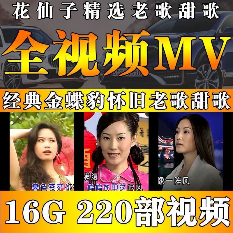 十二大美女MV视频车载音乐u盘花仙子甜歌酒廊情歌高清mp4通用优盘-资源分享