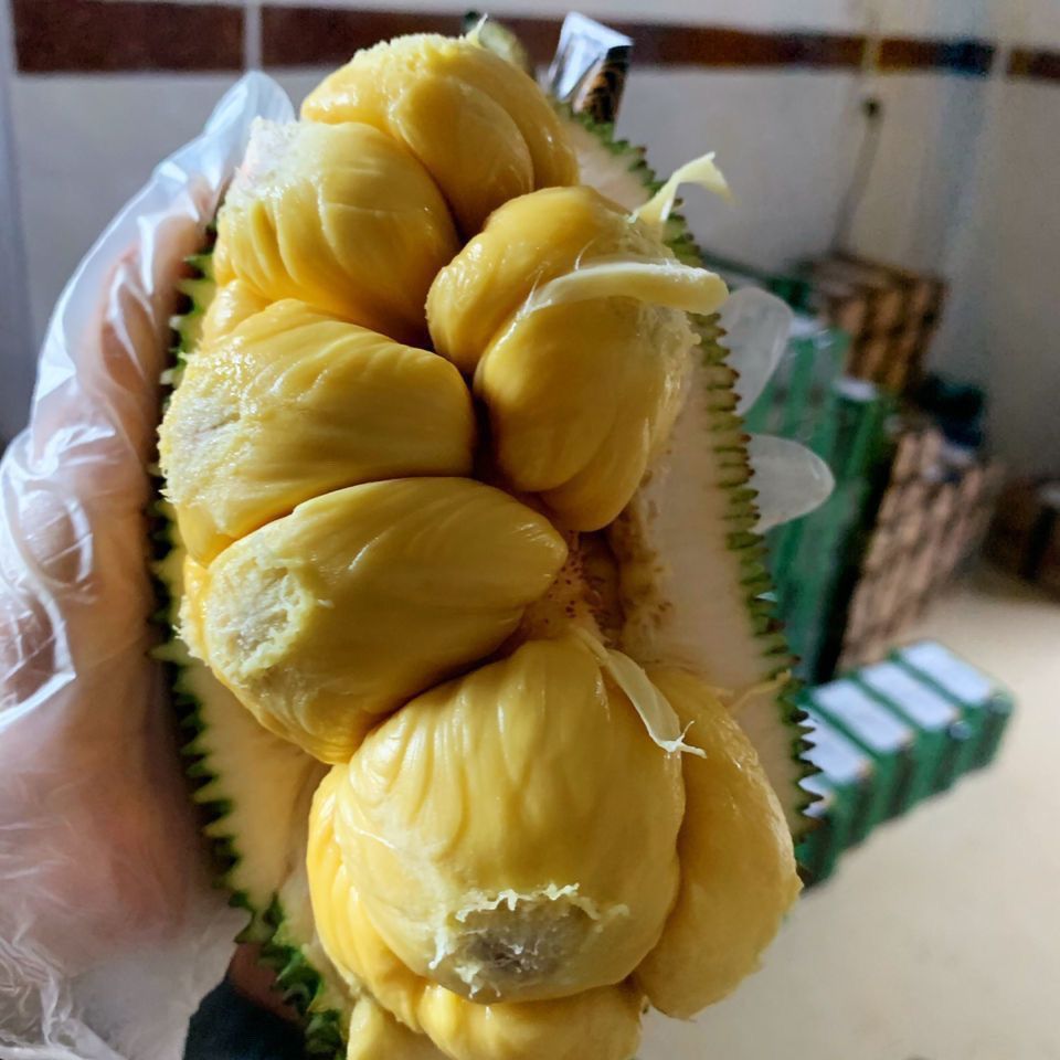 正宗海南榴莲批发口感新鲜软软糯香甜特价蜜当季孕妇热带巴掌水果