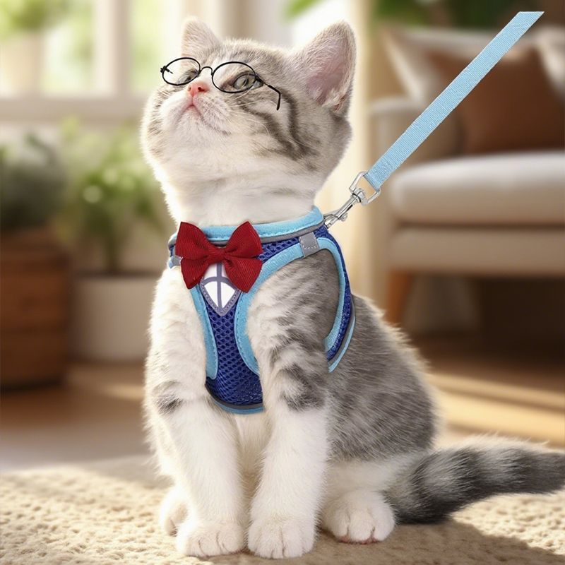 猫咪牵引绳胸背带反光透气可爱背心小猫小狗外出专用宠物胸背链子