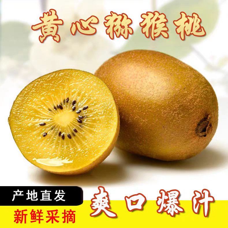 【彩箱】黄心猕猴桃金果金桃金艳新鲜水果奇异果水果整箱70克起
