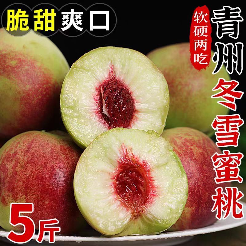 青州蜜桃桃子新鲜脆桃硬桃毛桃脆桃脆甜水蜜桃青皮脆蜜桃新鲜水果