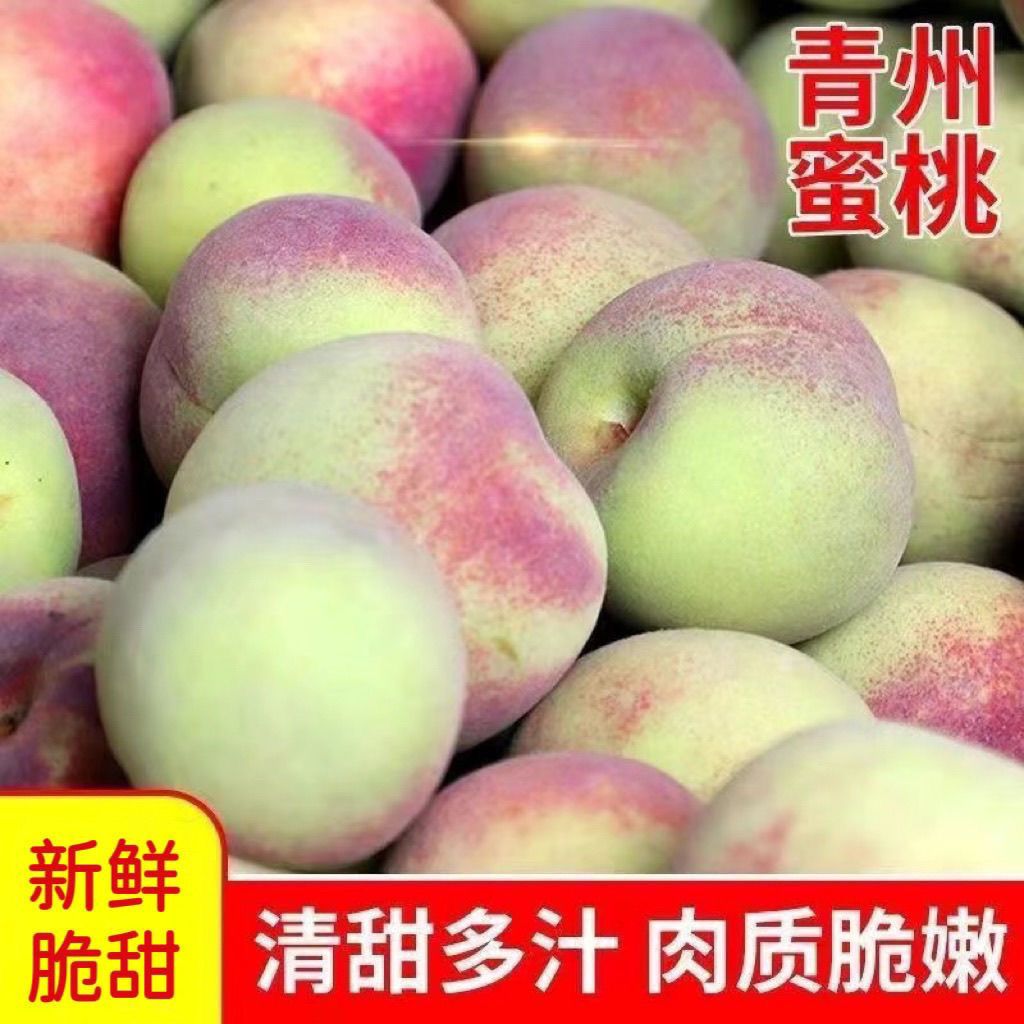 山东青州蜜桃桃子新鲜脆桃毛桃脆桃甜桃硬脆甜非水蜜桃青脆桃脆甜