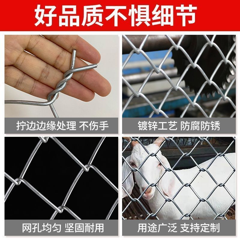 热镀锌铁丝网围栏网护栏网防护钢丝网圈果园菜地养鸡拦牛羊养殖网 图片 7