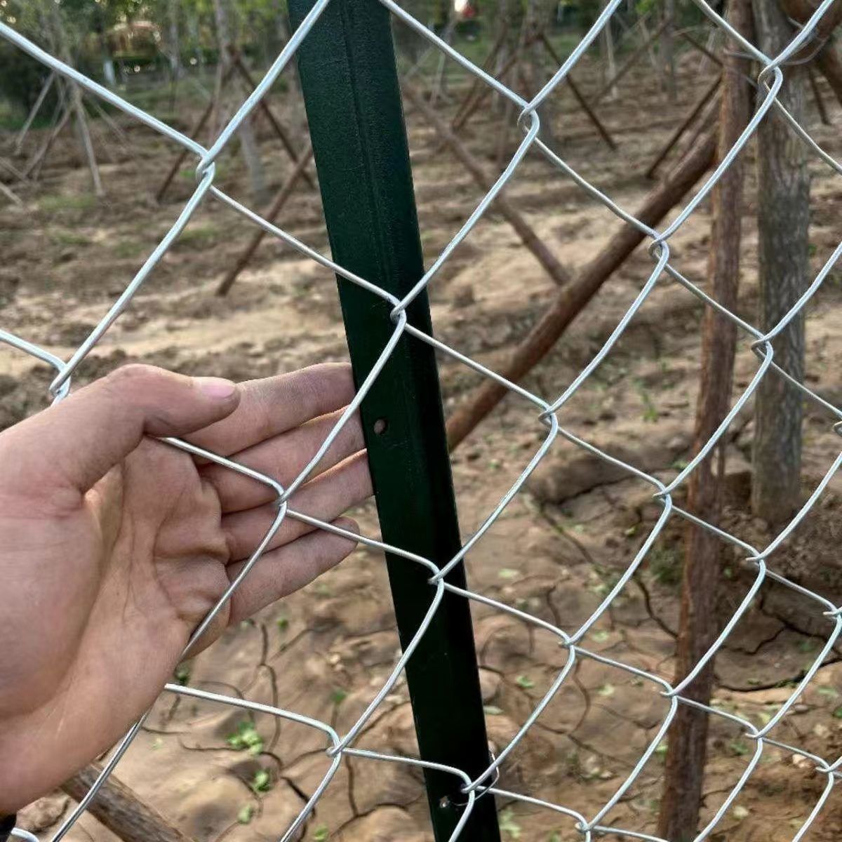 热镀锌铁丝网围栏网护栏网防护钢丝网圈果园菜地养鸡拦牛羊养殖网 图片 6