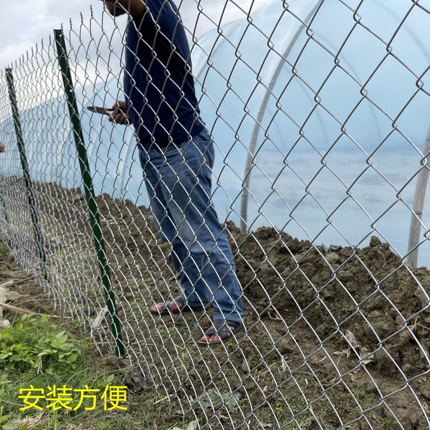 热镀锌铁丝网围栏网护栏网防护钢丝网圈果园菜地养鸡拦牛羊养殖网 图片 5