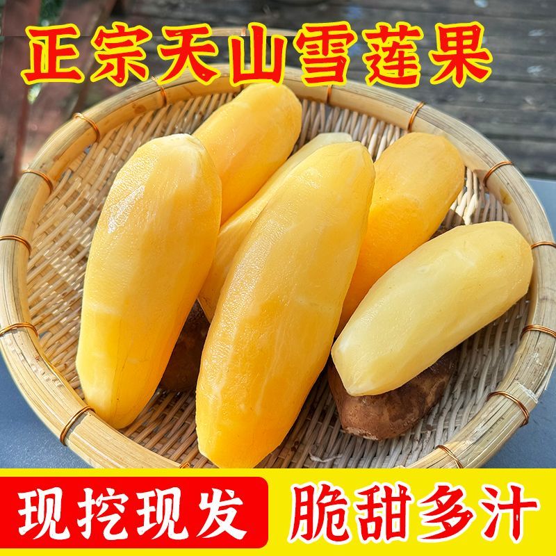 云南正宗天山雪莲果现挖当季新鲜应季水果黄心整箱