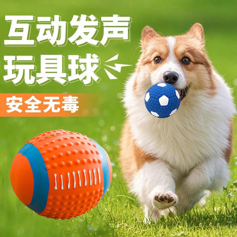 狗狗玩具耐咬狗狗用品球球玩具狗磨牙玩具狗狗玩具发声发泄狗玩具