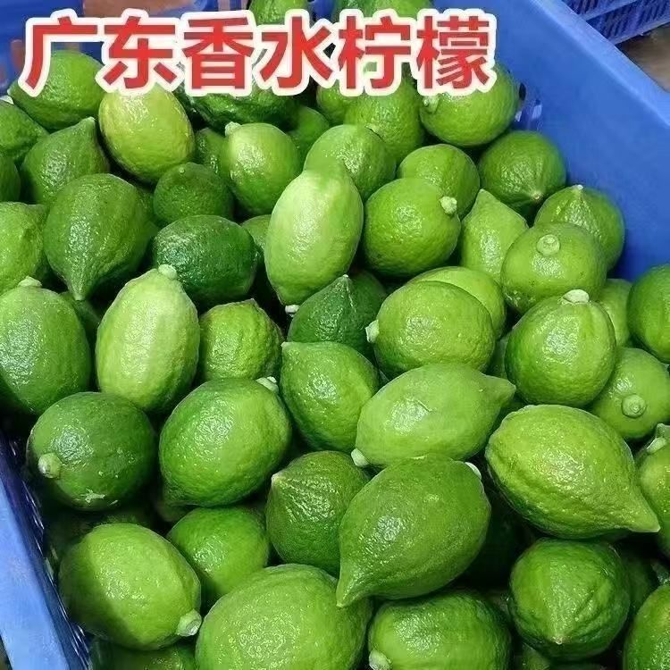 低价秒广东香水柠檬次一级无籽鲜果商用奶茶柠檬茶专用批发