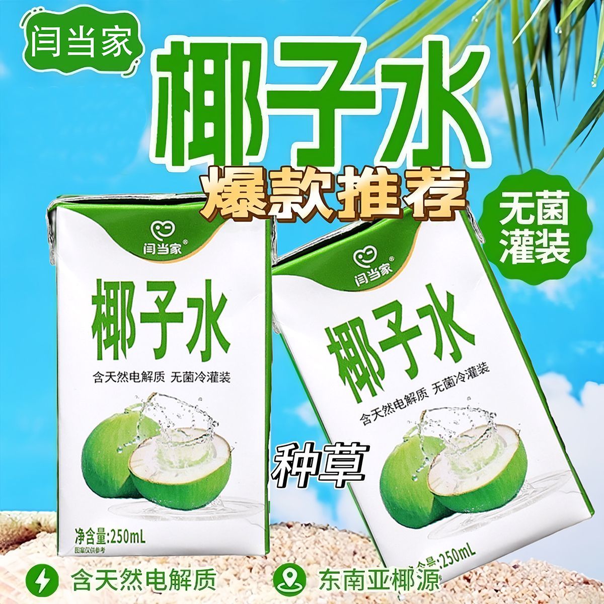 闫当家椰子水250ML*12盒