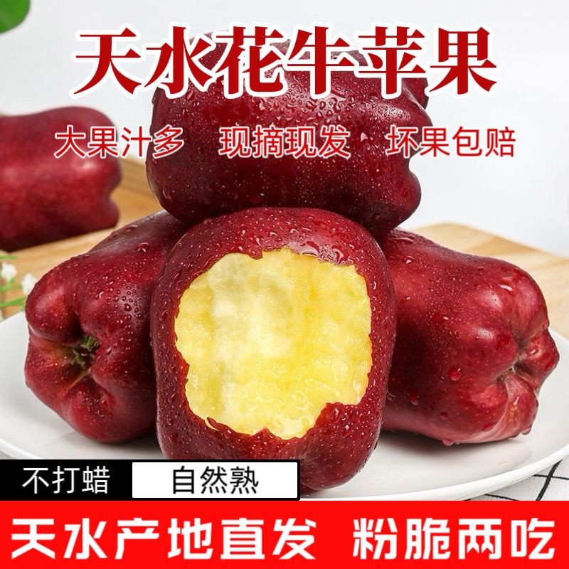 甘肃天水花牛苹果水果新鲜蛇果3斤当季整箱5斤红蛇粉面10 苹果