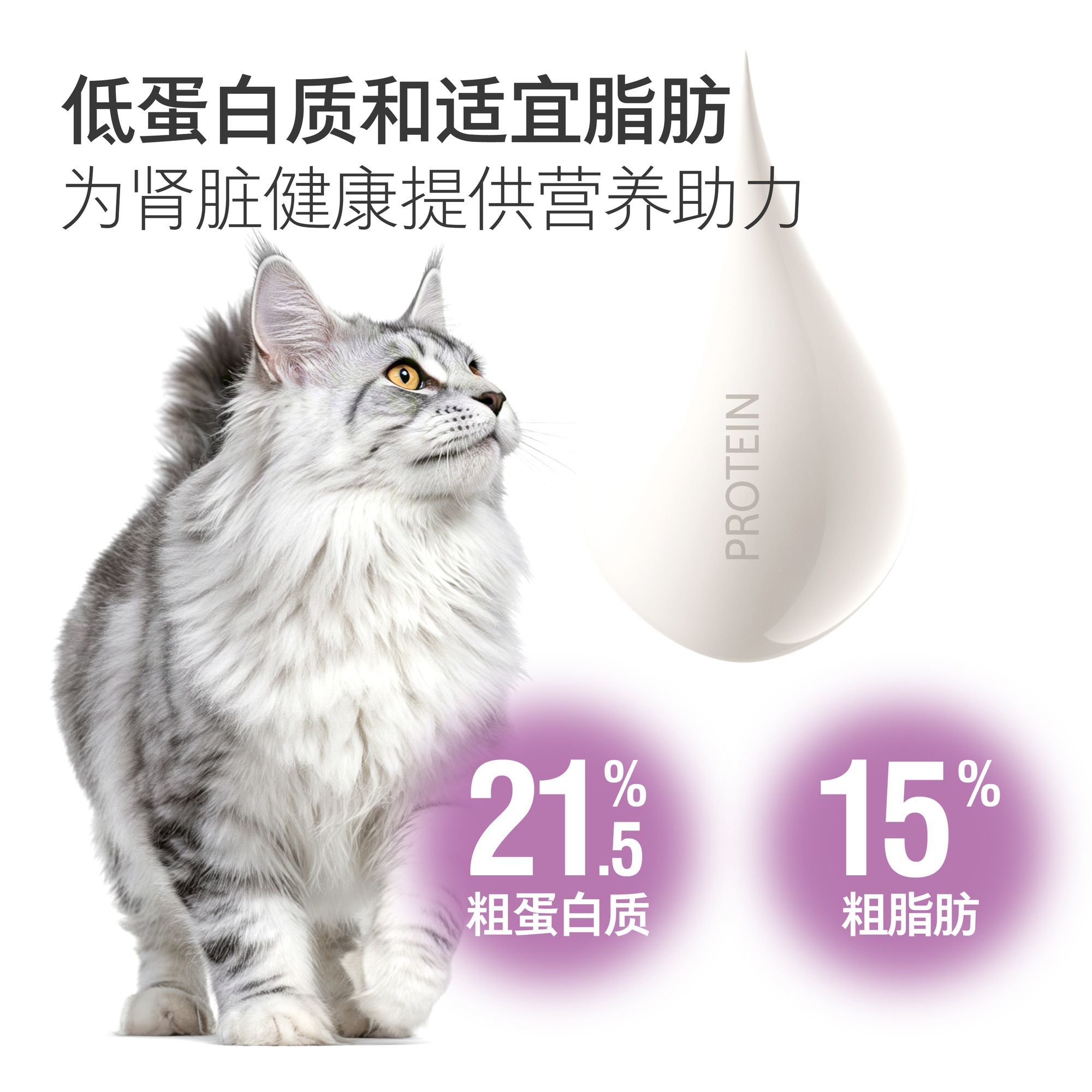 商品缩略图 6