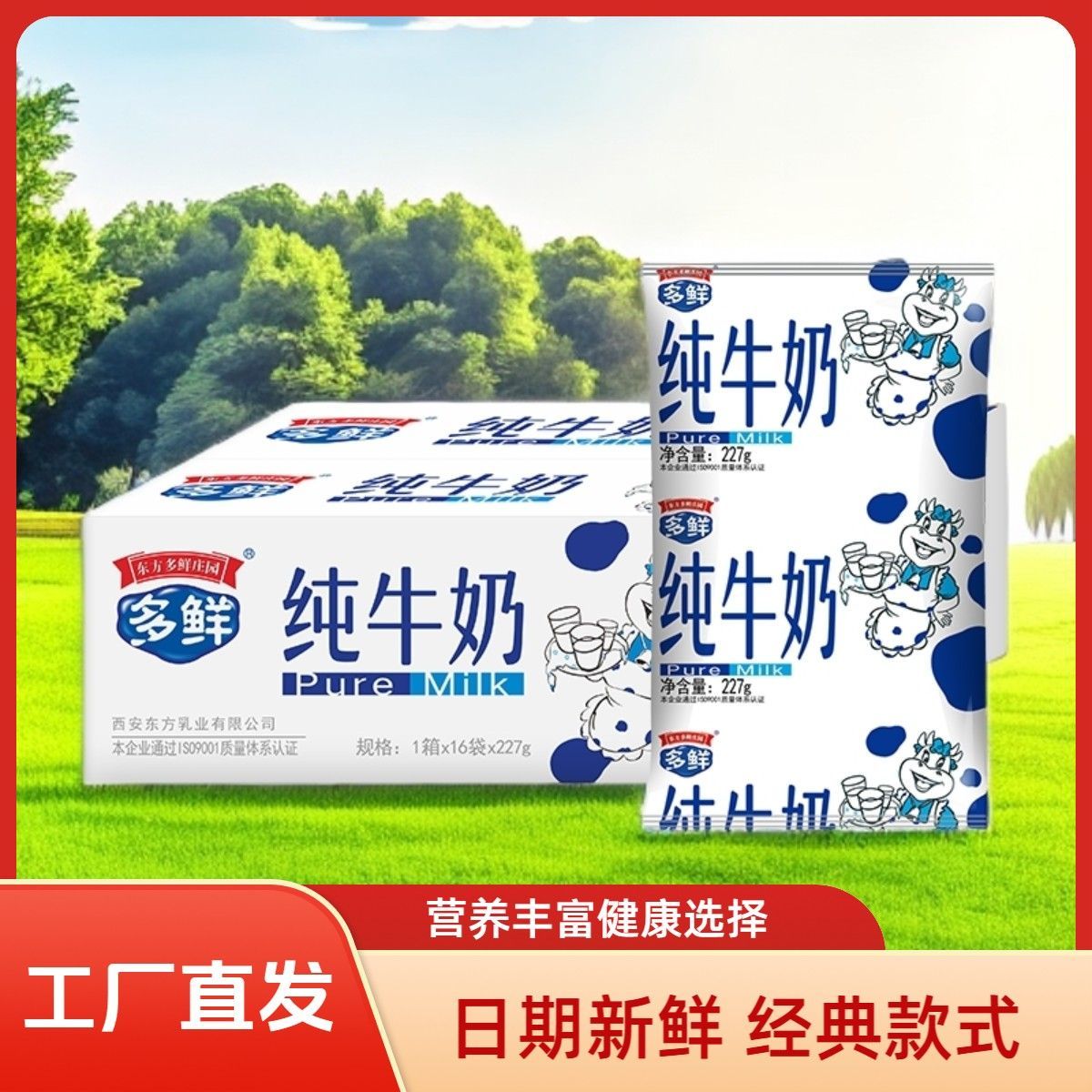 东方多鲜庄园 多鲜利乐枕纯牛奶 常温灭菌乳全脂牛奶营养早餐奶