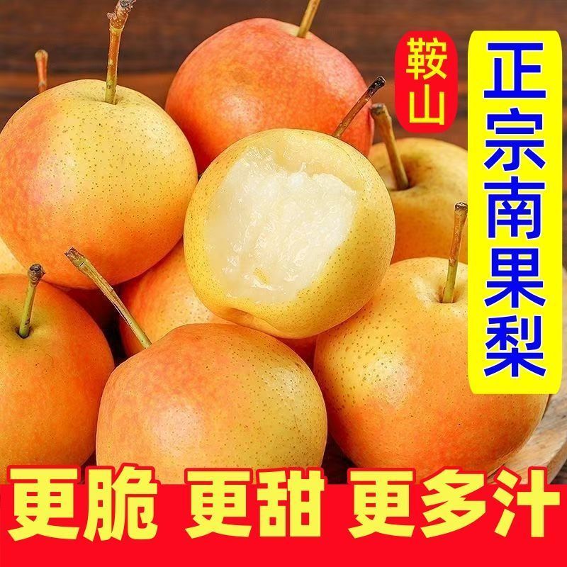 鞍山特产南果梨新鲜水果南国梨酒香梨东北特产孕妇水果特级薄皮梨