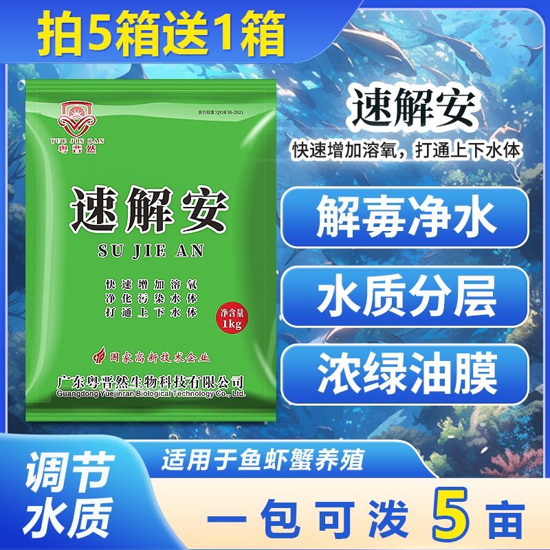 速解安