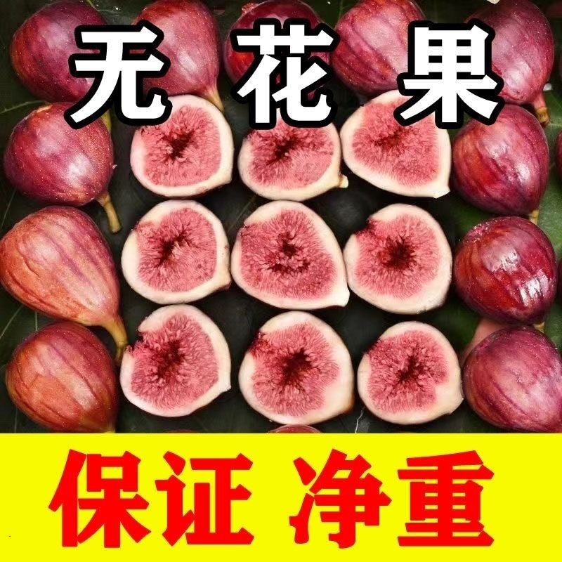 四川红皮红心无花果甄选大果现摘现发果园直发孕妇黄体酮包邮新鲜