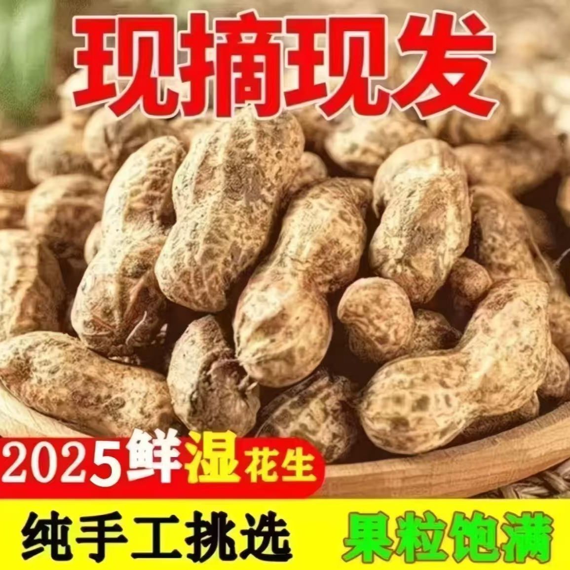 【现挖现发】新鲜湿花生带壳带泥花生粉皮花生当季新鲜带泥鲜花生