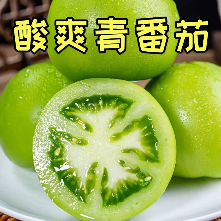 云南青番茄炒菜西红柿新鲜未成熟现摘酸甜青皮农家蔬菜绿色自种
