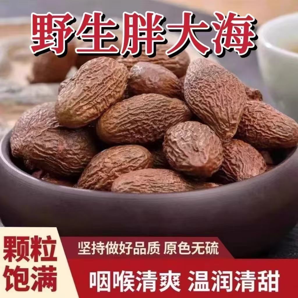 【特级精选】胖大海精选新货正宗胖大海泡水润喉无硫广西胖大海茶