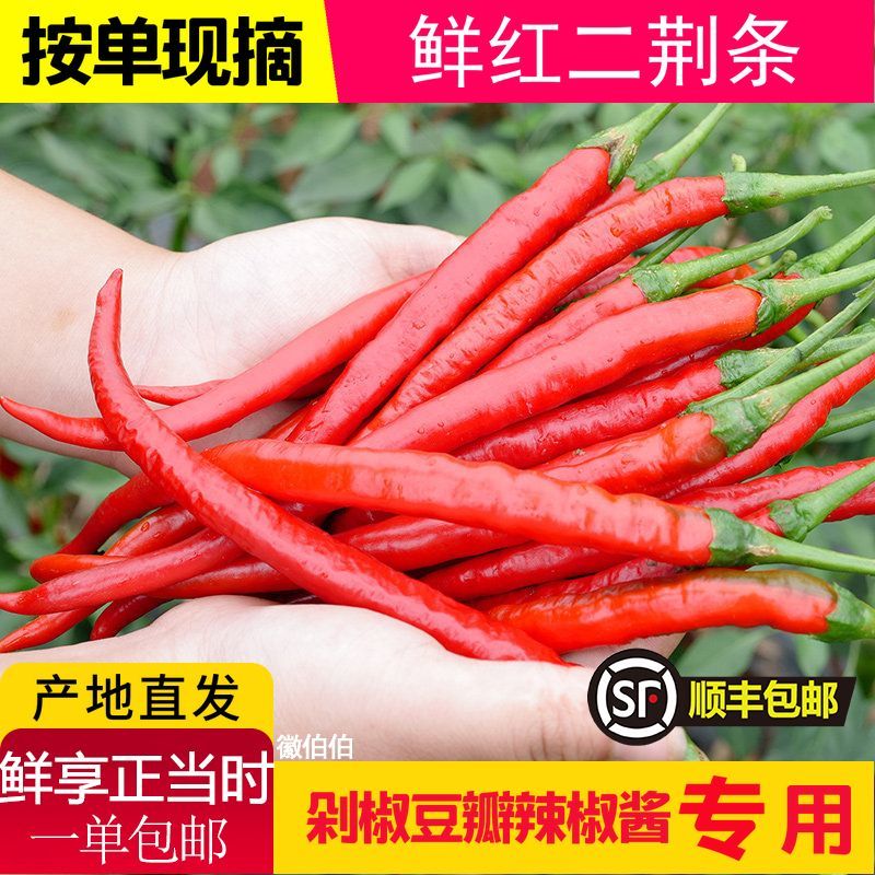【现摘现发】安徽新鲜红线椒批发红尖椒红辣椒泡椒剁椒新鲜蔬菜