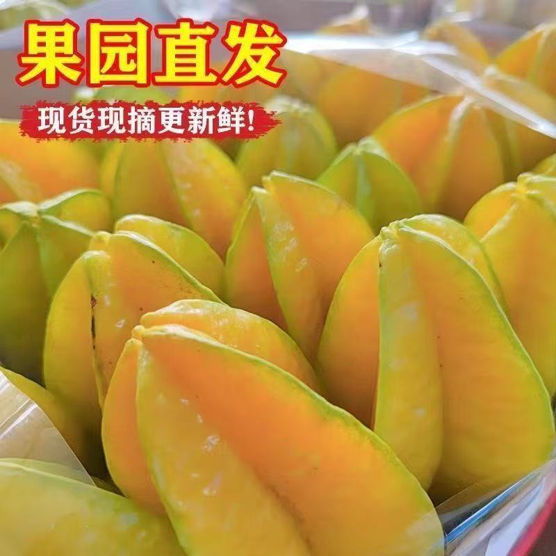 福建漳州甜杨桃五角星树上熟新鲜孕妇水果杨桃整箱果园批发现摘