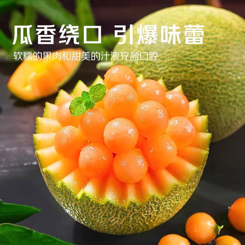 【晓蜜25号】正宗海南新鲜热带水果哈密瓜脆甜多汁自然成熟产地发