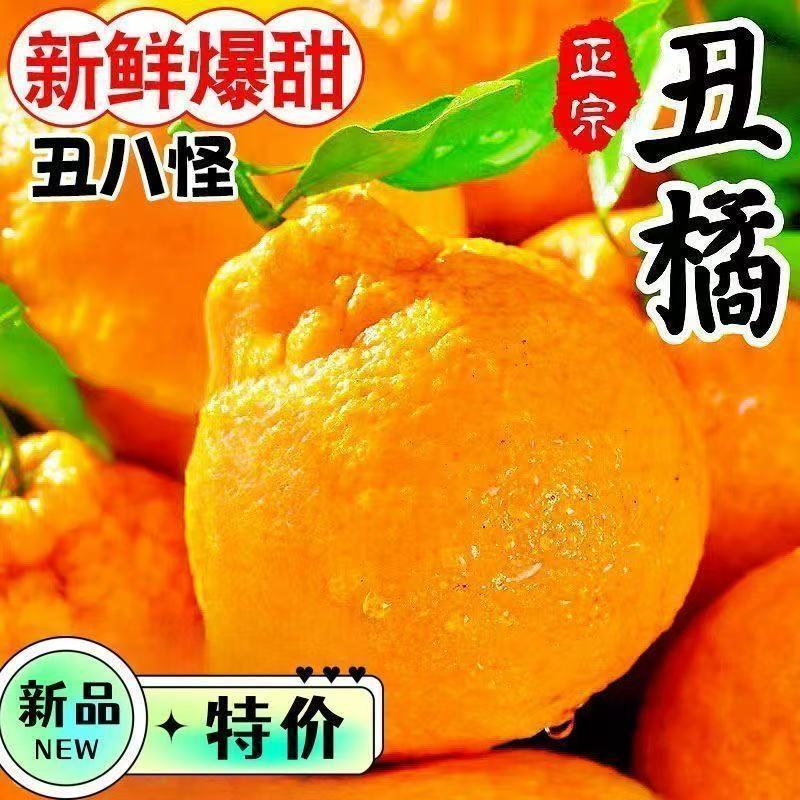 现摘现发丑橘超甜耙耙柑粑粑柑春见当季新鲜水果丑八怪橘子