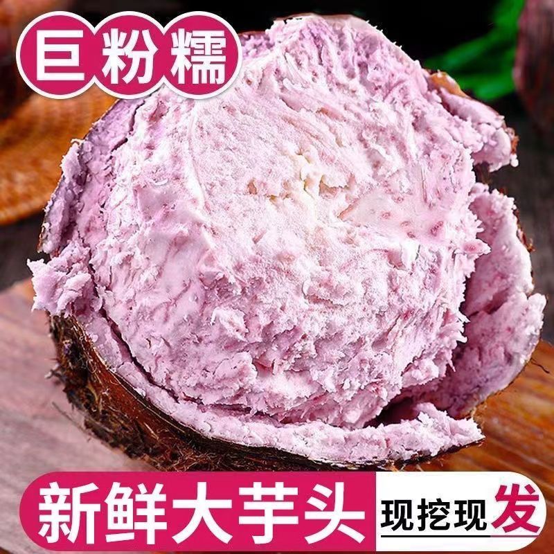 正宗荔浦大芋头 广西现挖新鲜蔬菜特产香芋紫心粉粉糯批发整箱