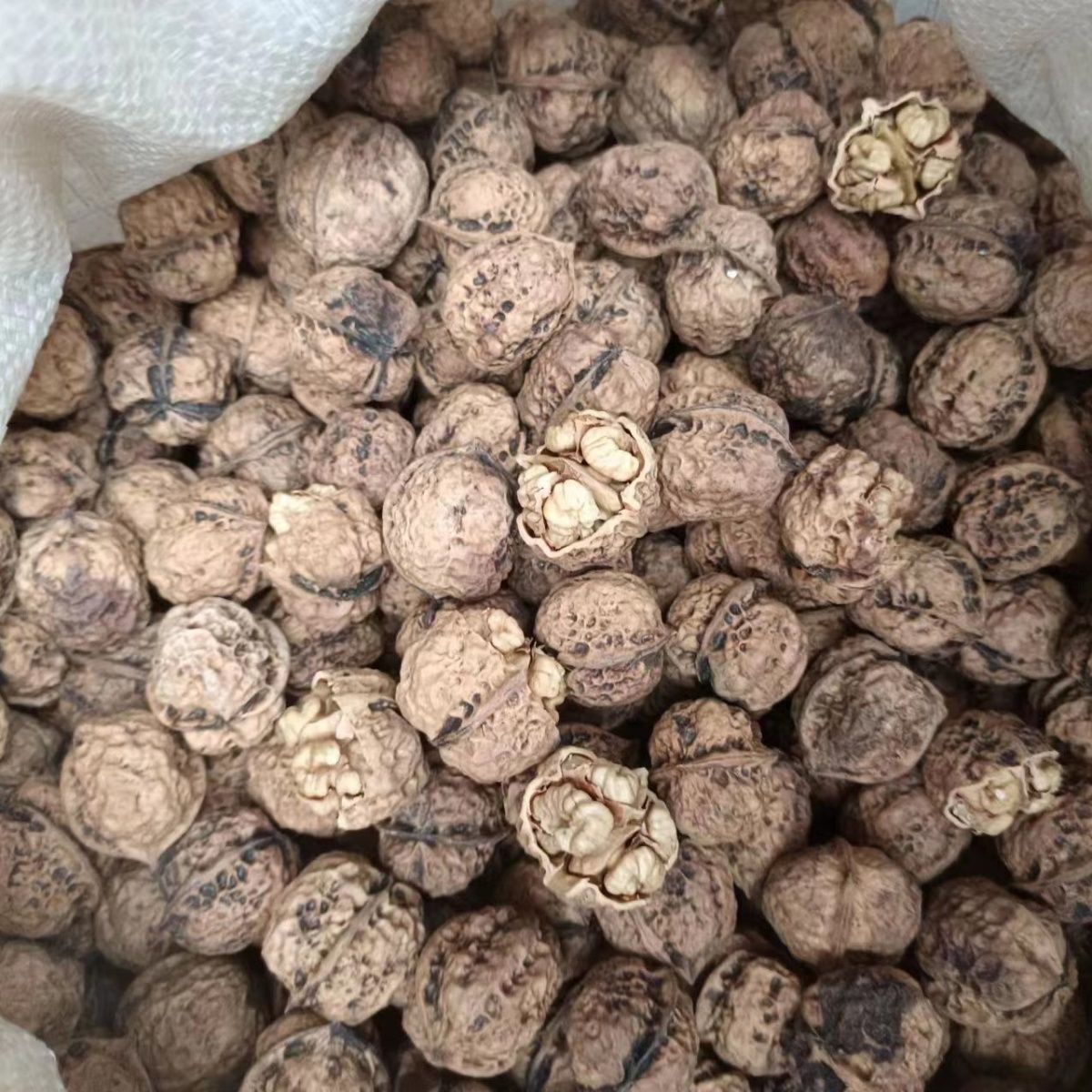 云南新货散装薄皮核桃孕妇儿童零食坚果薄壳云南核桃薄皮核桃皮薄 图片 8