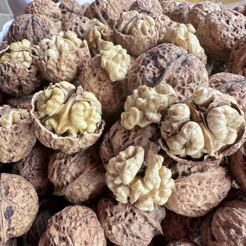 云南新货散装薄皮核桃孕妇儿童零食坚果薄壳云南核桃薄皮核桃皮薄 图片 6