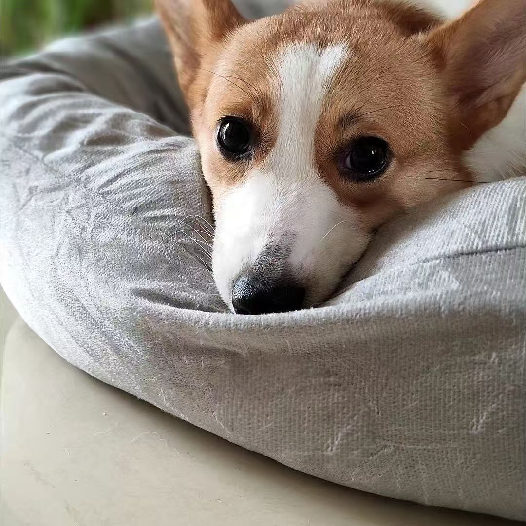 商品缩略图 7