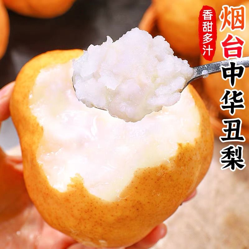 山东烟台中华丑梨太婆梨莱阳现摘啤梨软梨子新鲜孕妇宝宝老人水果