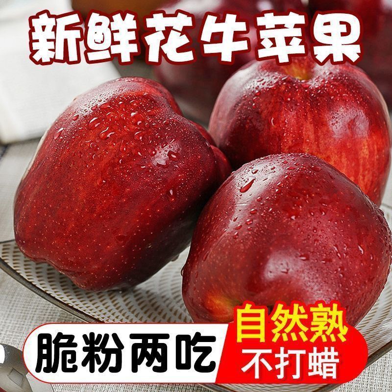 甘肃天水花牛苹果大果5/10斤蛇果辅食新鲜水果整箱批发现货包邮