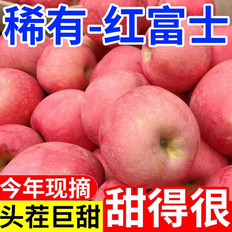 正宗2025红富士苹果脆甜水果新鲜红富士当季冰糖整箱丑苹果批发价