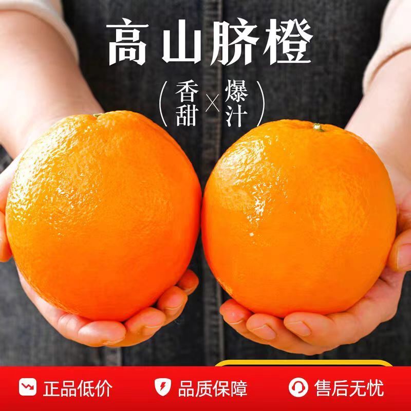 热销脐橙当季新鲜橙子水果榨汁江西柑橘大果甜橙整箱批发纽荷尔