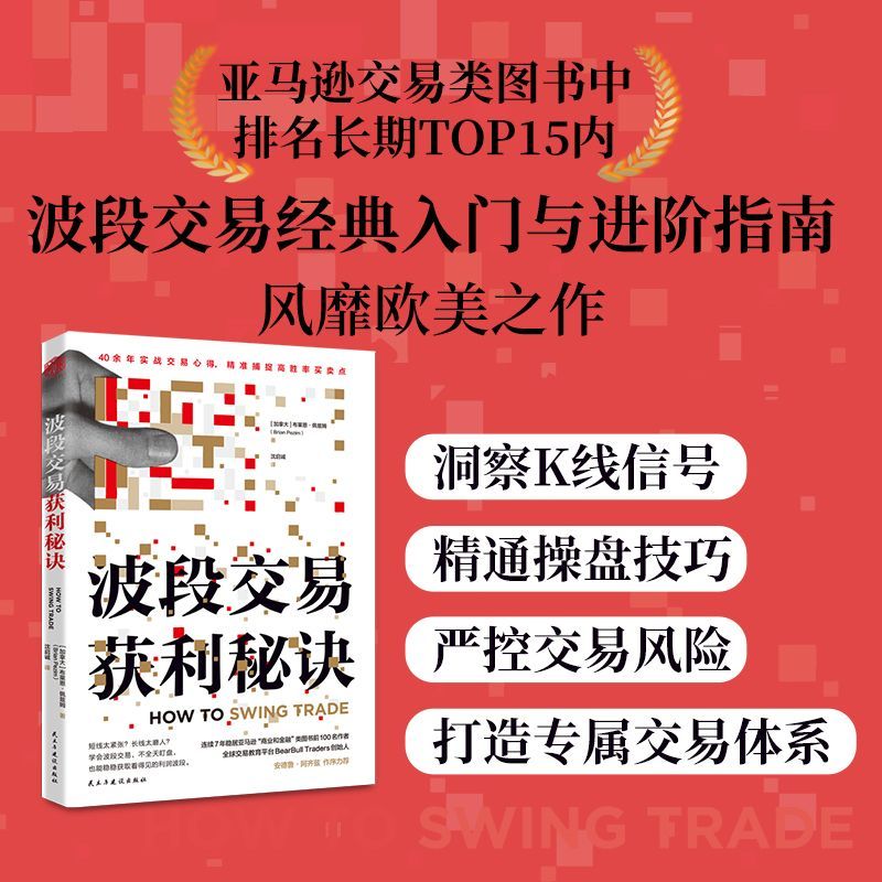 波段交易获利秘诀(单封)布莱恩·佩兹姆 股票投资交易 经济书籍