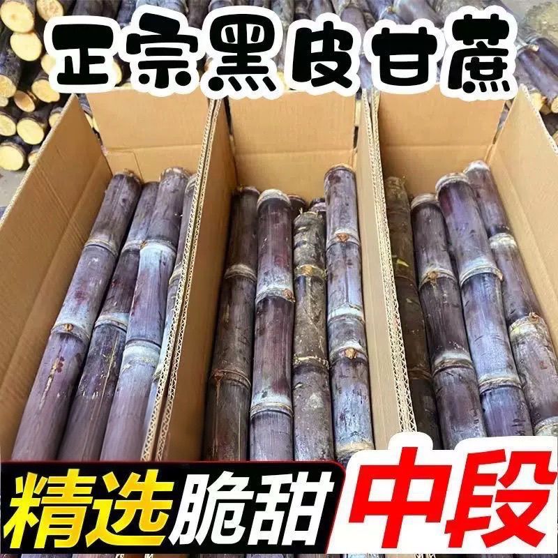 广西黑皮甘蔗新鲜10斤水果包邮应季当季特产整箱脆甜果蔗清甜薄皮