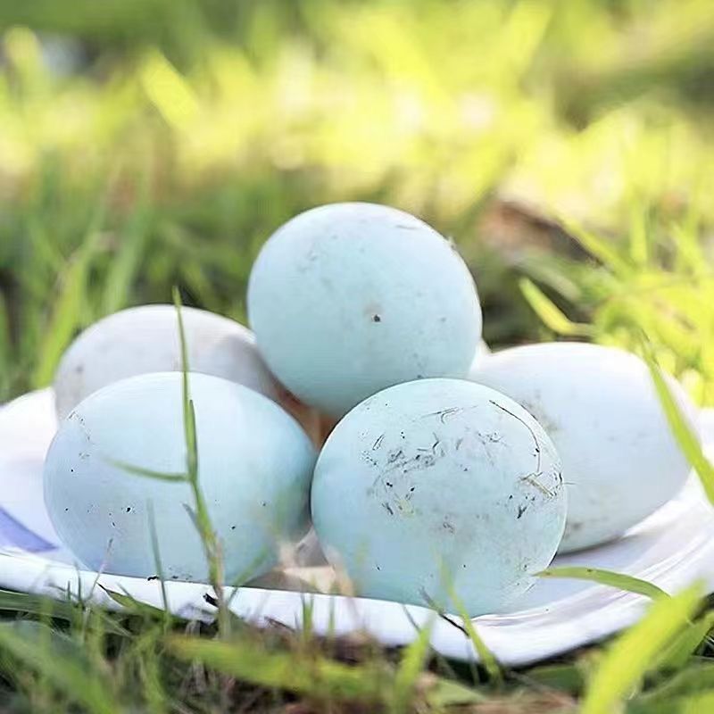 70-79克新鲜鸭蛋绿壳孕妇农家青白批发特价生态麻鸭整箱现发散养